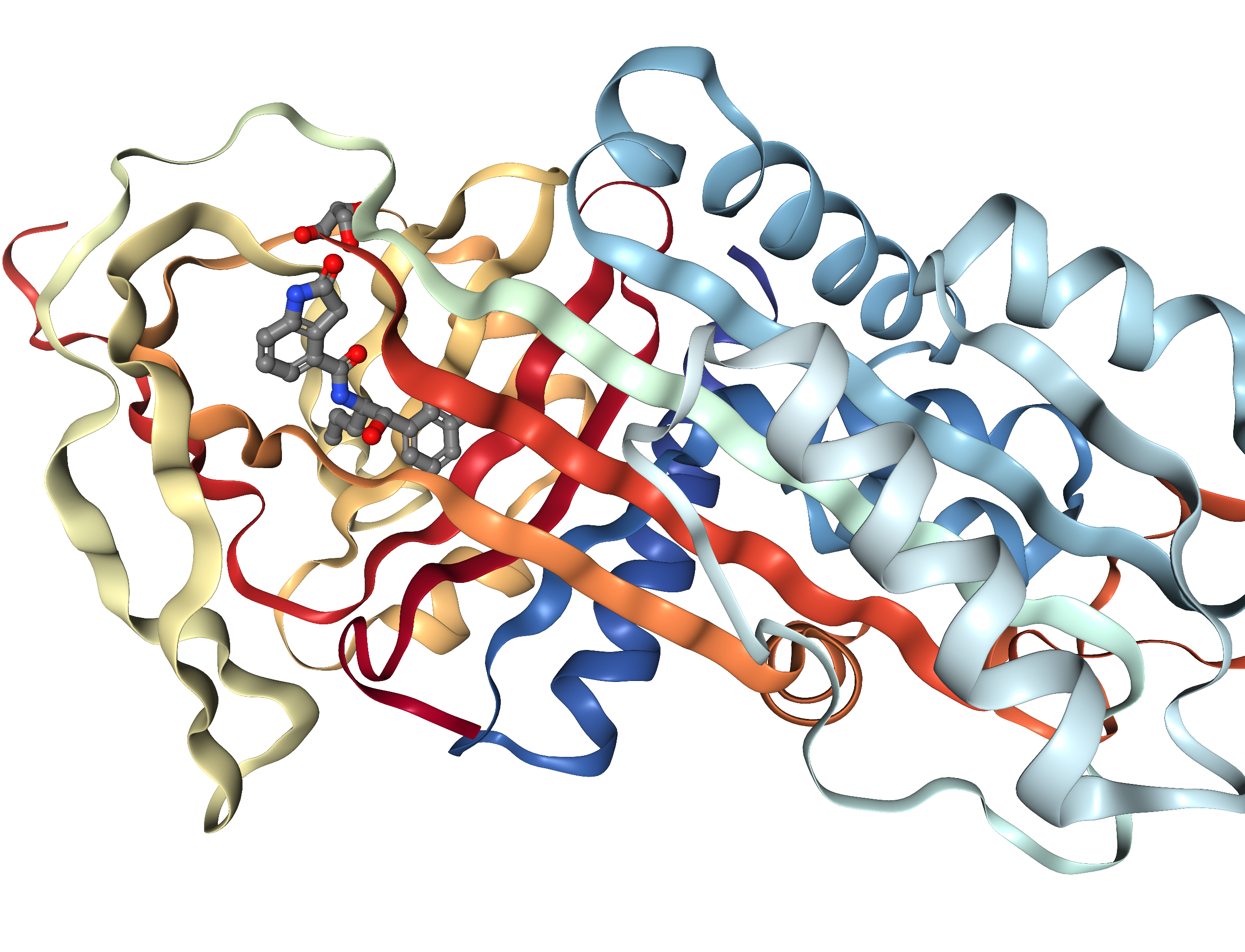 Patiententag Alpha-1-Antitrypsin-Mangel
