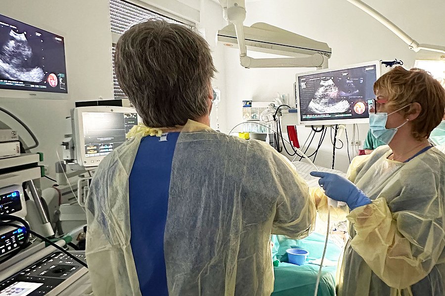 Mediastinale Kryobiopsien