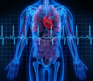 Fortbildung: Diabetologie – Kardiologie – Pneumologie Fortbildung: Diabetologie – Kardiologie – Pneumologie